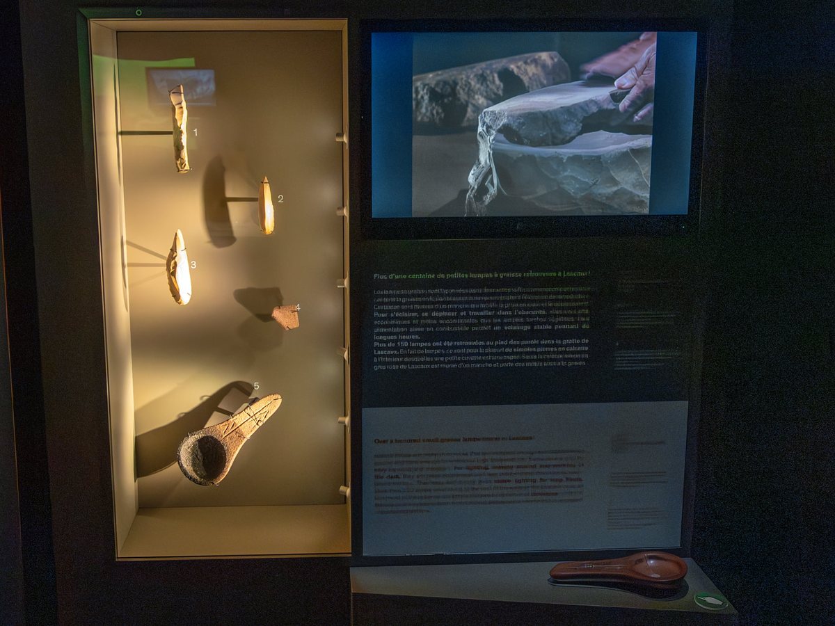 A display case of archaeological objects facing a screen, in the “Life 21,000 years ago” module