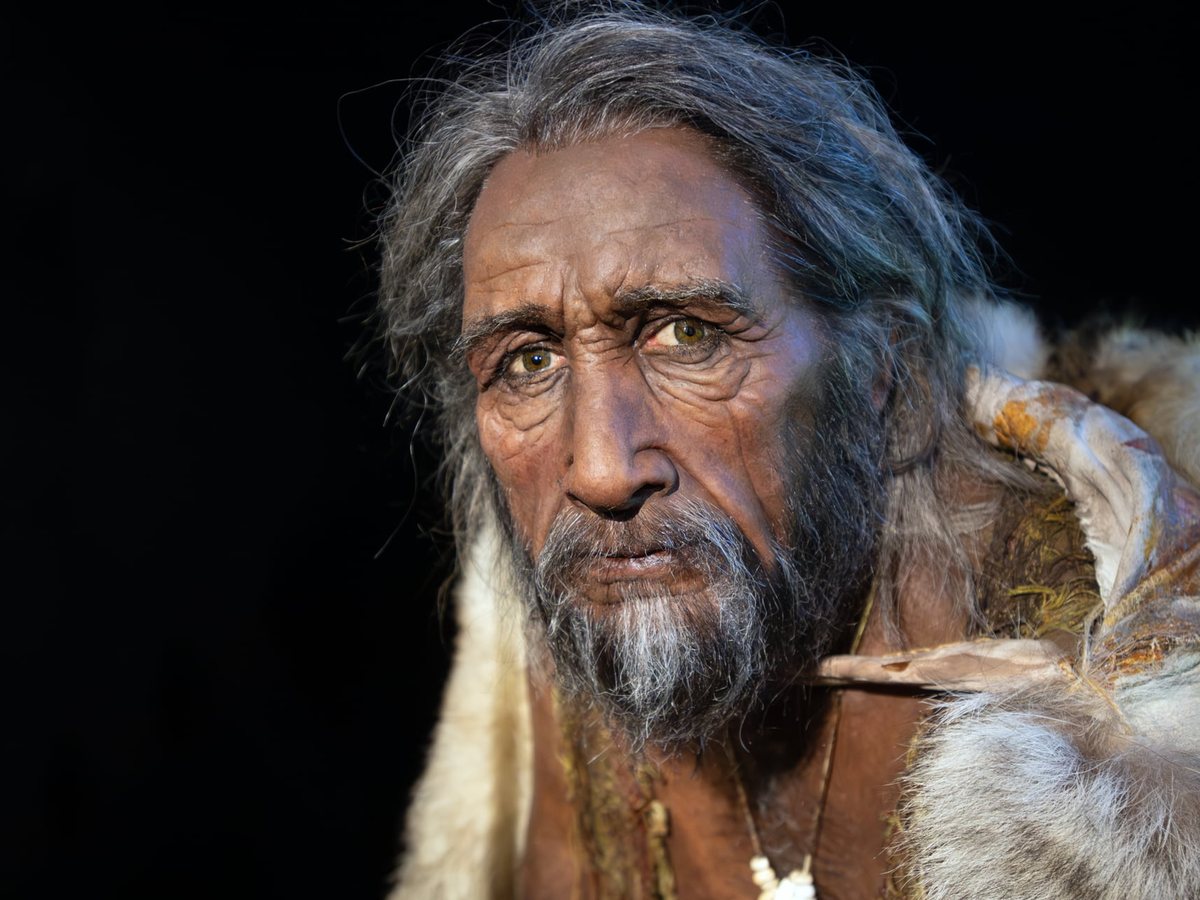 Portrait d’une reconstitution hyperréaliste d’un homme du temps de Lascaux