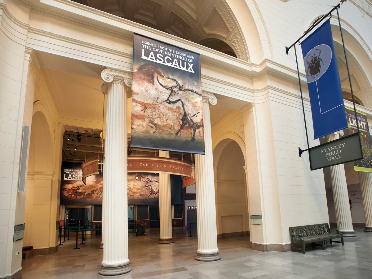 The Stanley Field Hall at Chicago’s Field Museum, with large banners announcing “Scenes from the Stone Age: The Cave Paintings of Lascaux”